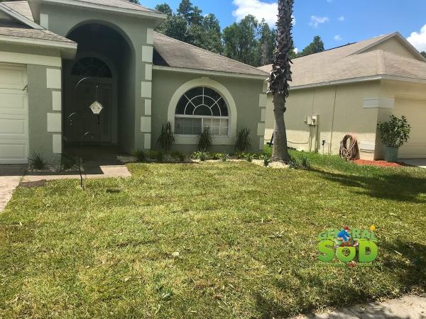 General Sod and Landscaping