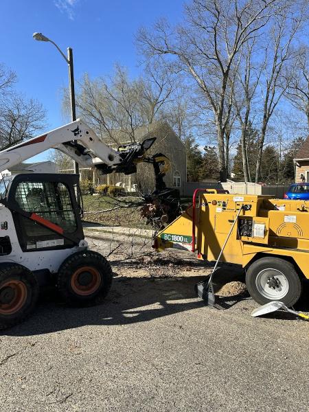 Cumberland Tree Service LLC