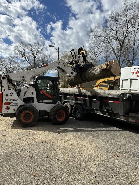 Cumberland Tree Service LLC