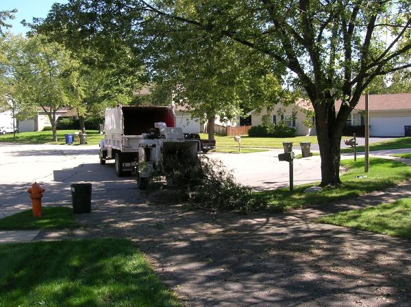 Naperville Tree Care