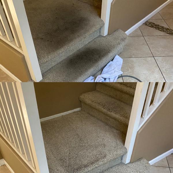 Melton's Carpet Cleaning