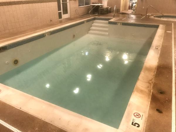 Dolphin Pool Services