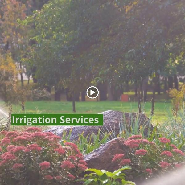 Progreen Services