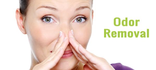Cigarette Odor Removal Services