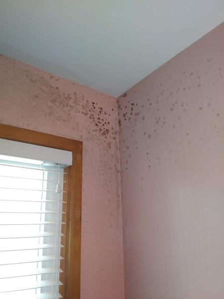 Ella Cleaning Services Llc