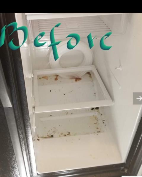 Ella Cleaning Services Llc