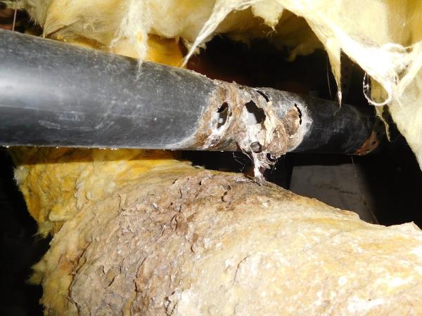Ashco Inspections Inc