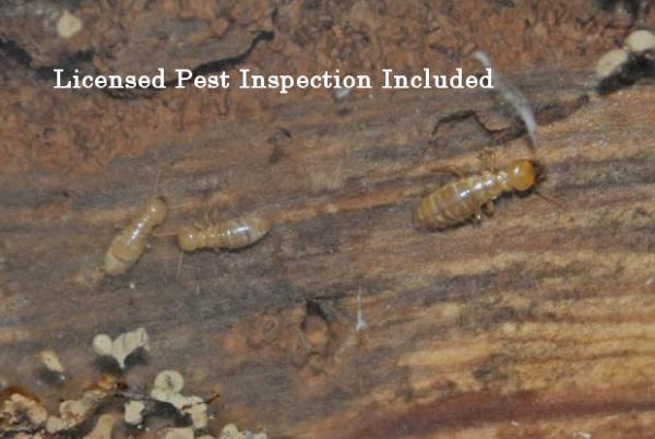 Ashco Inspections Inc