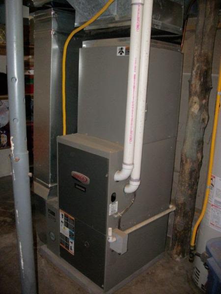 Rumpca Services