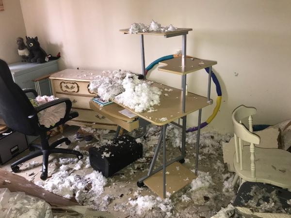 Claybuilt Restoration Services
