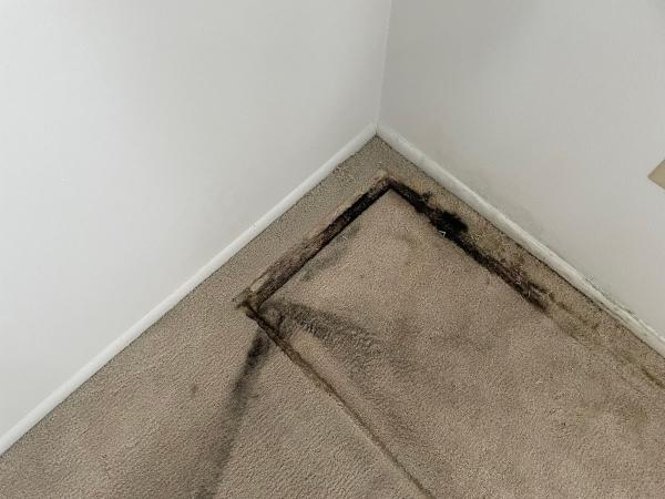 Claybuilt Restoration Services