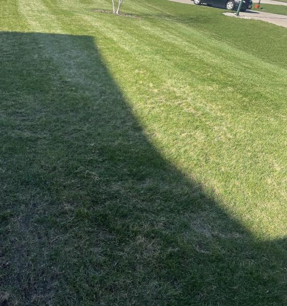 CJS Lawn & Landscaping