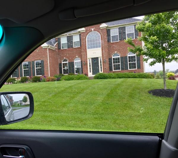 Yard Services