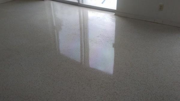 Reflection and Shine
