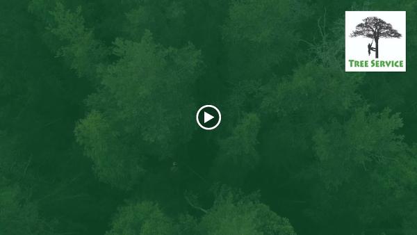 Common Ground Tree Service