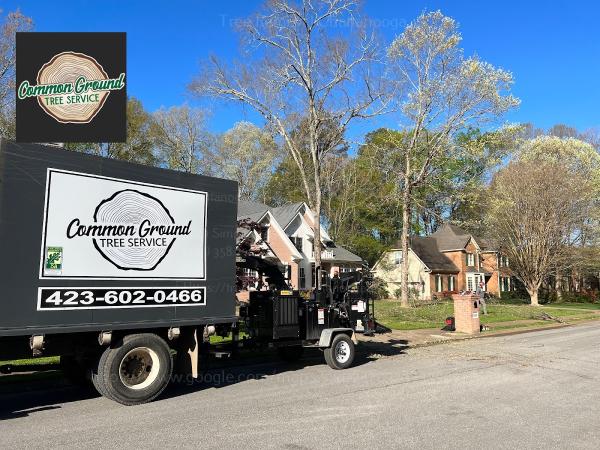 Common Ground Tree Service