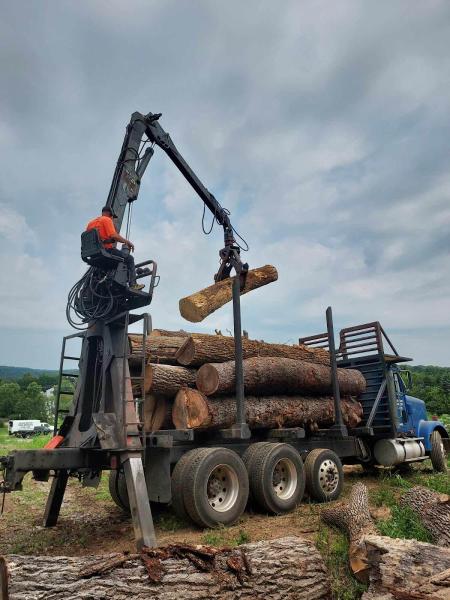 Lewis Burns Tree Service