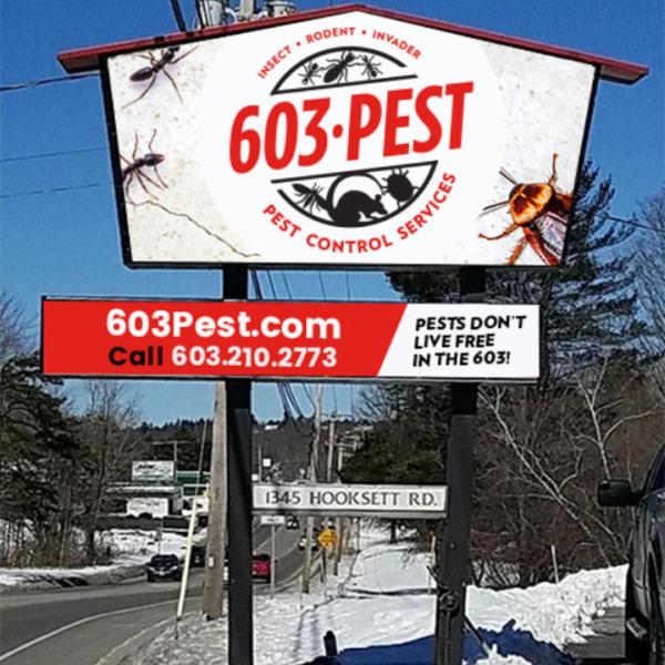 603 Pest Control Services- A Division