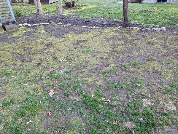Seascape Lawn Care