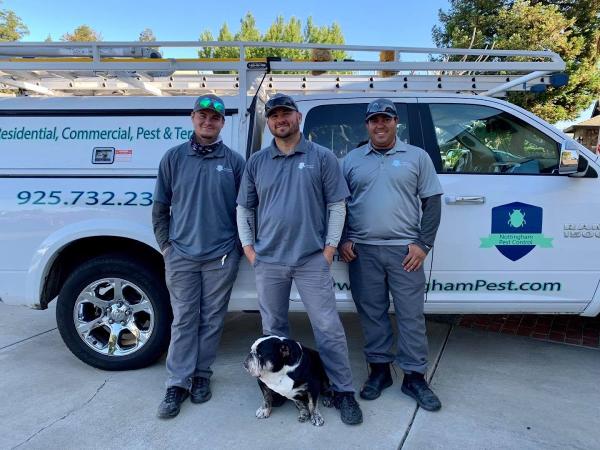 Nottingham Pest Control