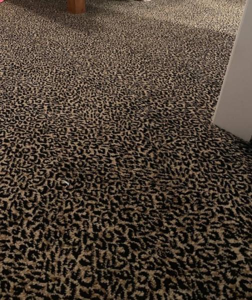 Grapevine Carpet Cleaning