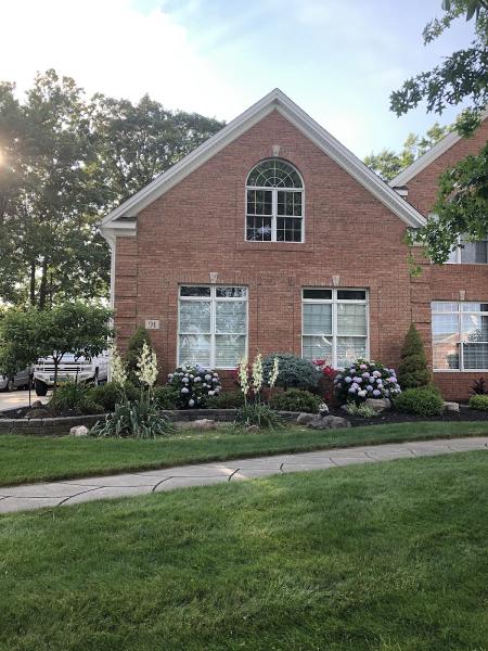 Palm & Oak Lawn Care and Maintenance