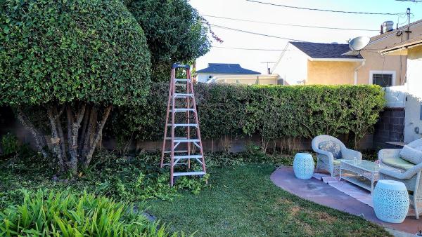 Hernandez Land AND Hardscaping