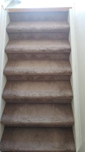 Altitude Carpet Care