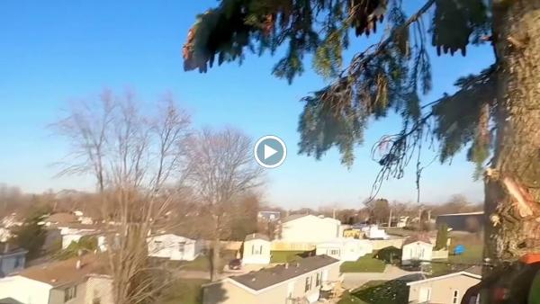 High Definition Tree Service