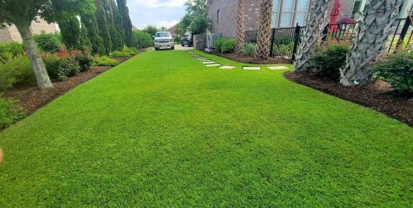 Edge Landscaping