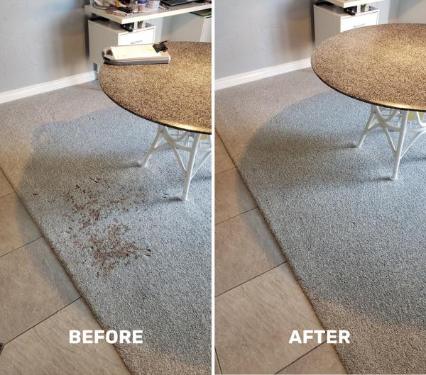Stuart Quick Dry Carpet Cleaning