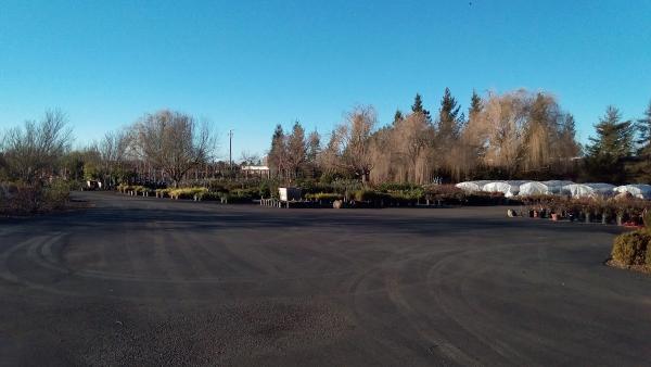 Seescape Landscaping
