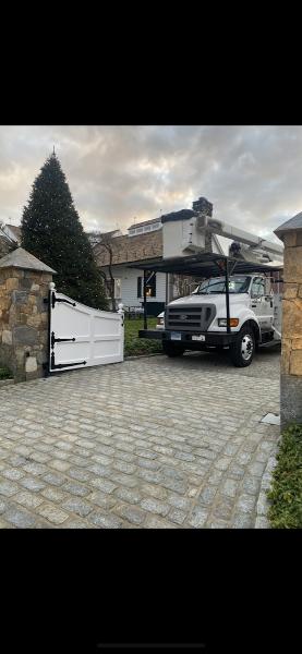 LD General Tree Care