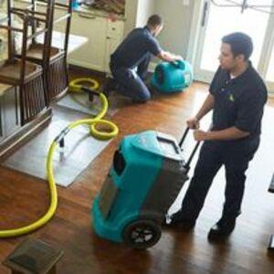 Mold Inspection Livonia