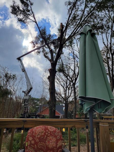 Spotswood's Tree Service