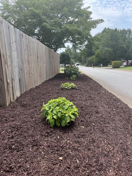 Precision Landscape Design