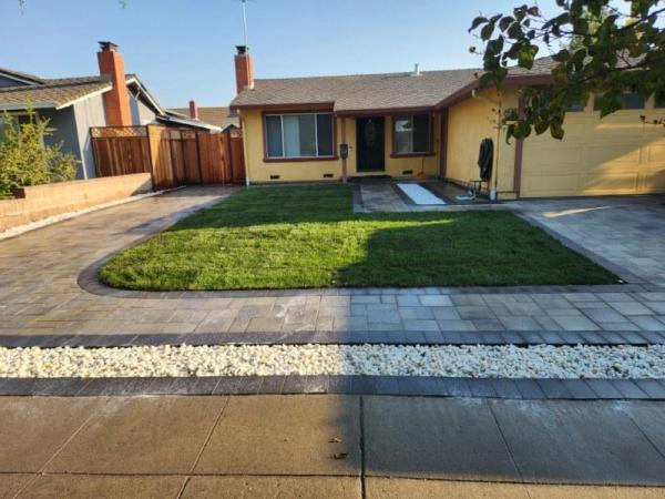 Action Landscaping