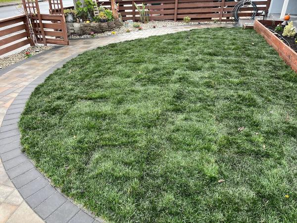 Action Landscaping