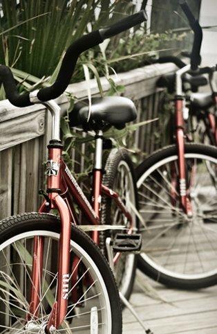 Lowsea Bike