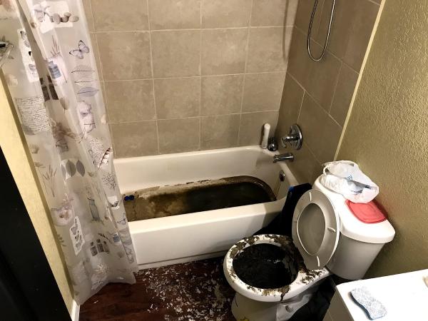 Drain Wizard Plumbing and Drain Cleaning