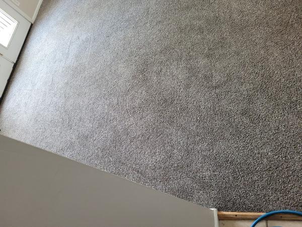 R and L Carpet Upholstery Cleaning & Restoration