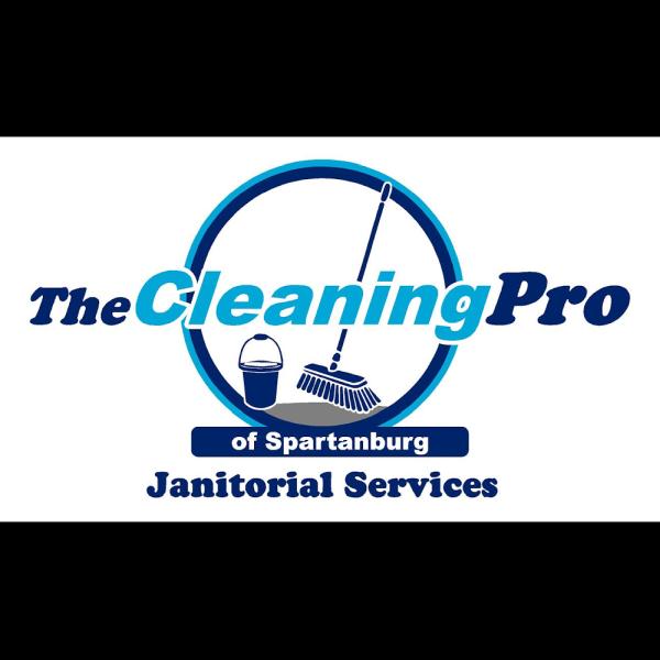 The Cleaning Pro