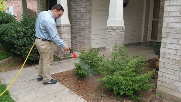 Beeline Pest Control