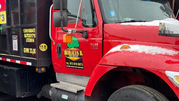 Morales Brothers Tree Service LLC