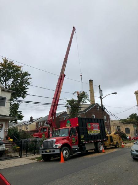 Morales Brothers Tree Service LLC