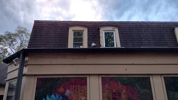 Thermo Twin Windows