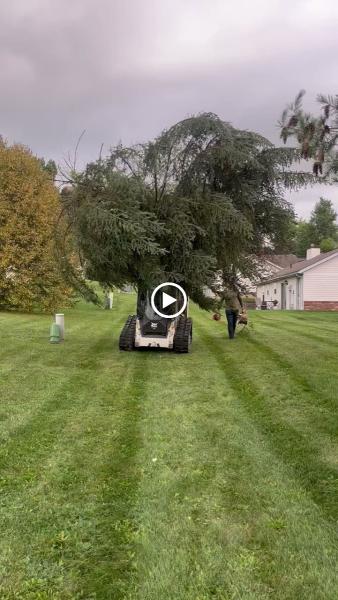 Brady's Landscaping