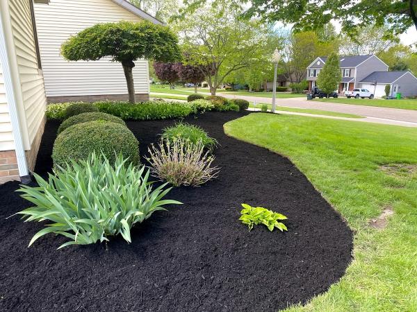 Brady's Landscaping