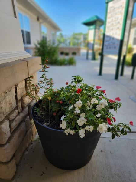 Jamie's Landscaping