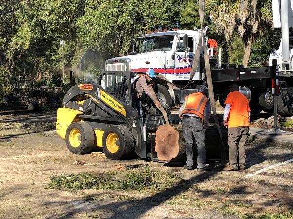 Iron Root Tree Service